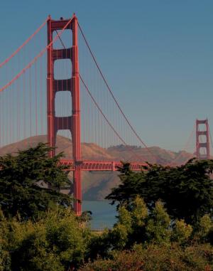 Competition entry: Golden Gate